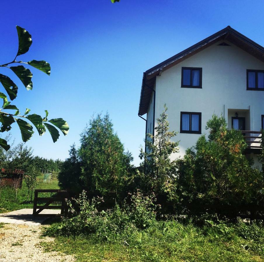 Bran White Clouds House And Chalet المظهر الخارجي الصورة