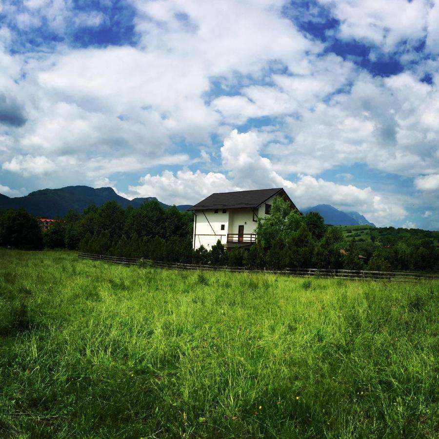Bran White Clouds House And Chalet المظهر الخارجي الصورة